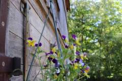 2020-fruehjahr-unfug_10