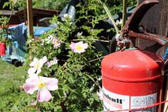 2020-fruehjahr-unfug_12