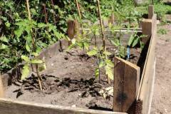 2020-fruehjahr-unfug_13