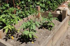 2020-fruehjahr-unfug_14