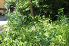 2020-fruehjahr-unfug_7