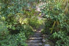 2020-fruehjahr-unfug_8