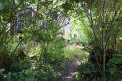 2020-fruehjahr-unfug_9