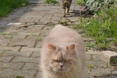 unfug-tag-onlinedemo_46