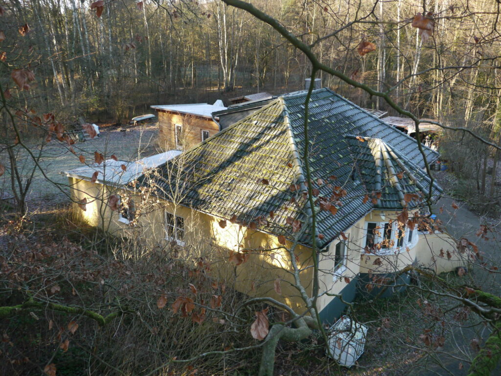 Haus vom wohnprojekt Unfug, von einer Baumkrone aus Fotografiert